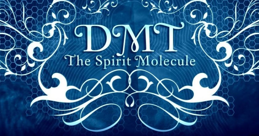DMT: The Spirit Molecule