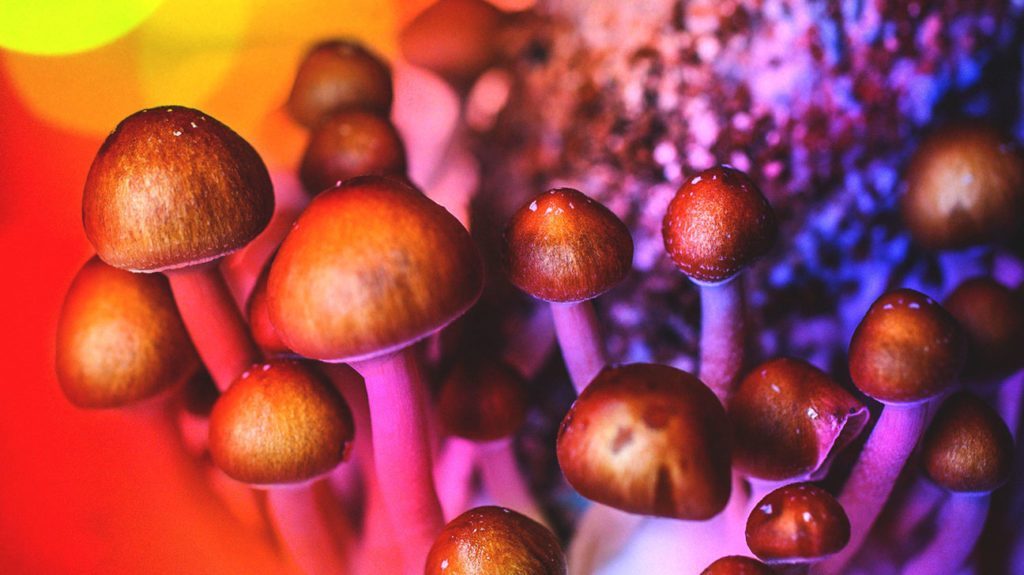 Want To Quit Smoking? Eat A Magic Mushroom, New Study Says