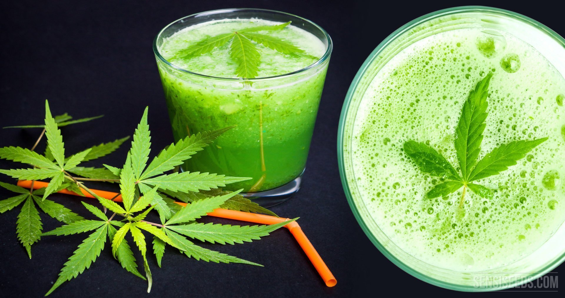 5 Reasons To Juice Your Cannabis 5 Reasons To Juice Your Cannabis