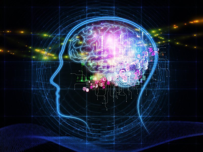 What You Are Not Being Told About The Secret & Law Of Attraction What You Are Not Being Told About The Secret & Law Of Attraction
