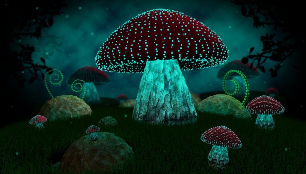 Further Proof Psychedelic Mushrooms Could Help Keep You Sane Further Proof Psychedelic Mushrooms Could Help Keep You Sane