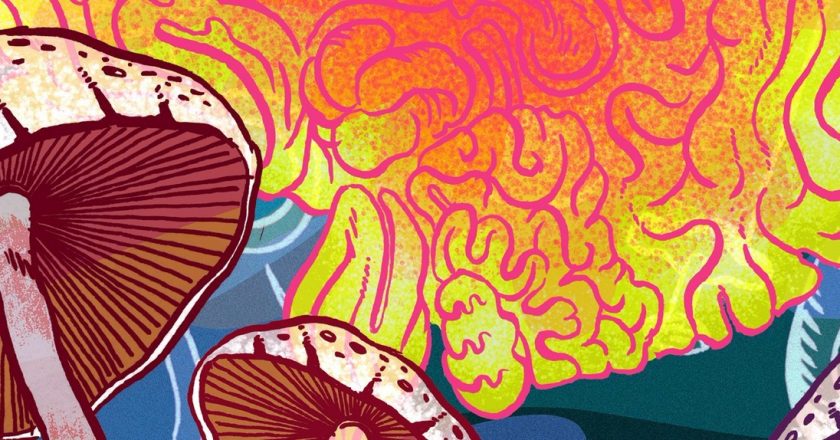 The Case For The Legalization Of Psychedelics