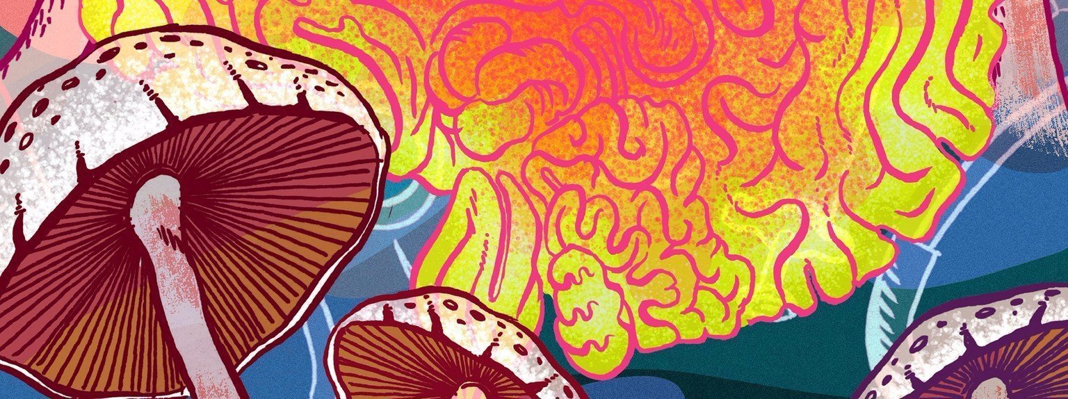 The Case For The Legalization Of Psychedelics