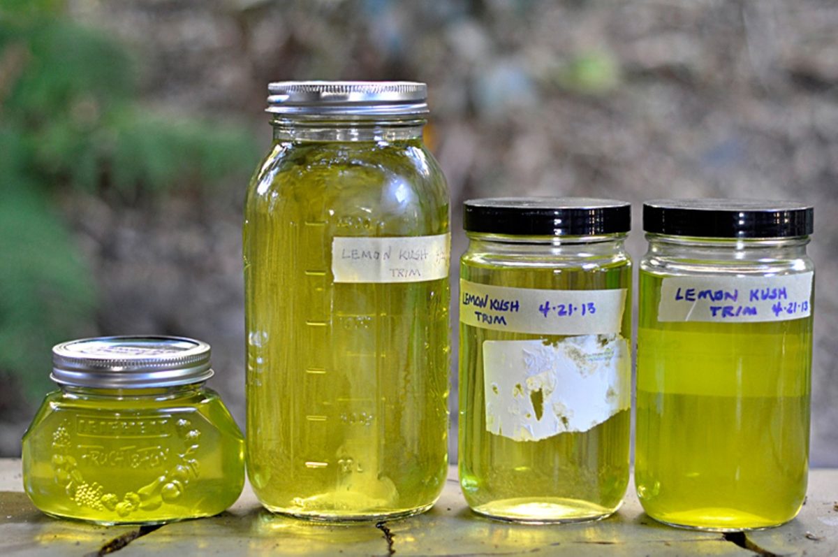 ODOFREDO VASQUEZ – Cannabis oil, which cancer-sufferers credit with saving their lives, and which is supposedly useful in healing other ailments, from diabetes to skin rashes, is made by distilling raw bud down to its essential ingredients. ODOFREDO VASQUEZ – Cannabis oil, which cancer-sufferers credit with saving their lives, and which is supposedly useful in healing other ailments, from diabetes to skin rashes, is made by distilling raw bud down to its essential ingredients.