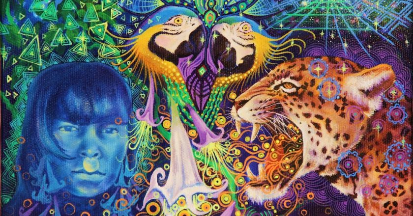 Ayahuasca Can Help You Communicate with Plant Spirits, and Heal Your Body and Mind