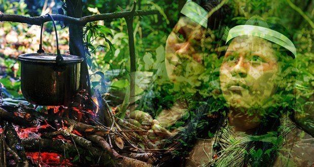 Brazilian Scientist: Ayahuasca/DMT Can Effectively Treat Cancer Brazilian Scientist: Ayahuasca/DMT Can Effectively Treat Cancer