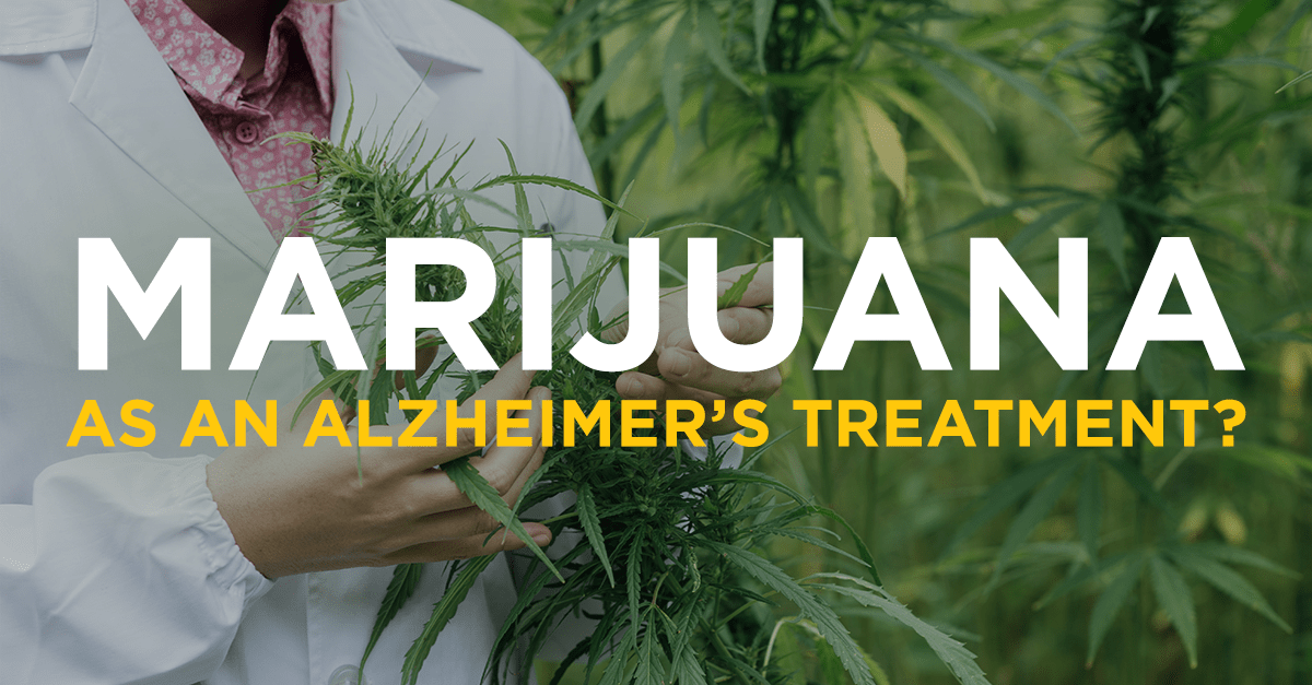 Marijuana Fights Alzheimer’s Disease, New Study Indicates Marijuana Fights Alzheimer’s Disease, New Study Indicates