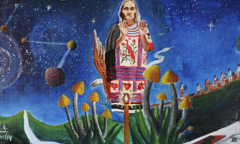 Neuroscientists Find God In Magic Mushrooms Neuroscientists Find God In Magic Mushrooms