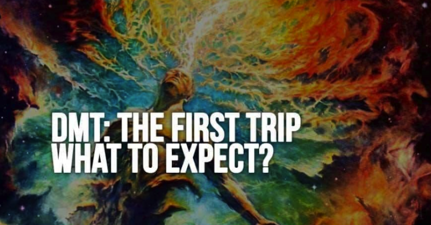 DMT: The First Trip – What to Expect?