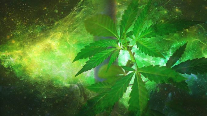 Marijuana & Spirituality: What Is The True Relationship? Marijuana & Spirituality: What Is The True Relationship?
