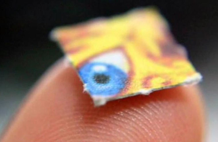 LSD