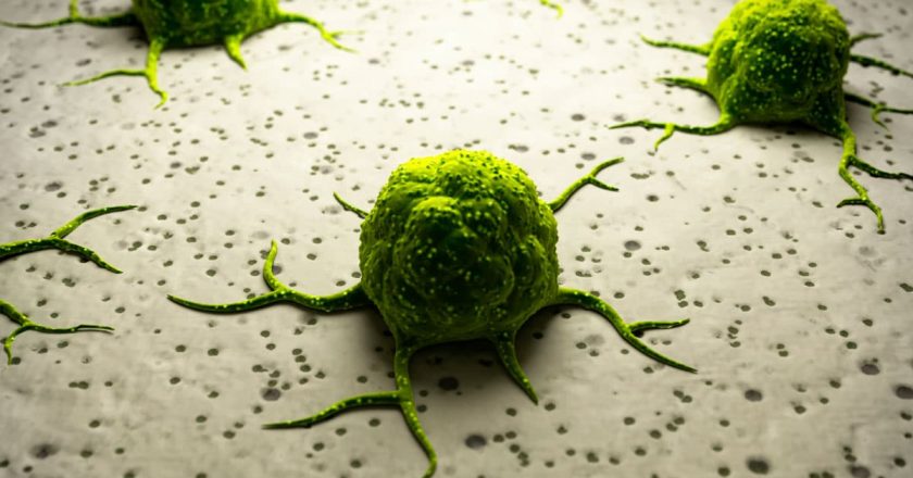 The Federal Government Finally Admits That Cannabis Kills Cancer