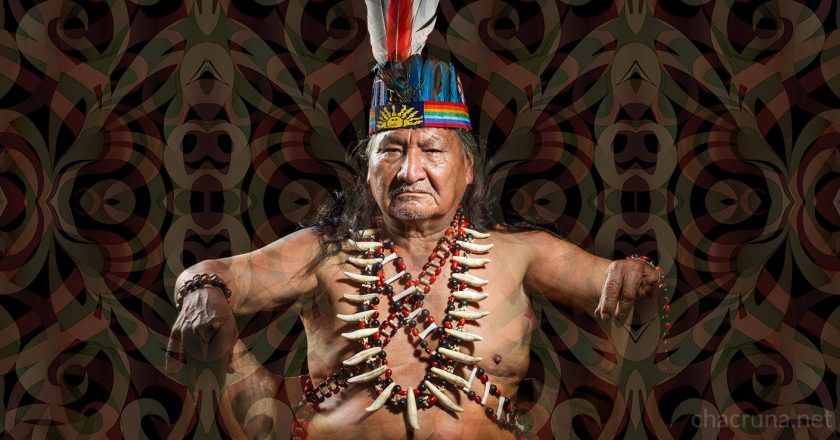 Is Ayahuasca Becoming a Global Sacrament?