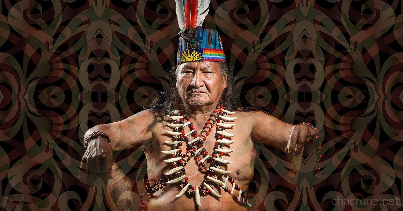 Is Ayahuasca Becoming a Global Sacrament?