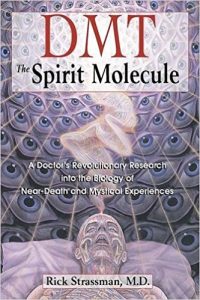 DMT: Spirit Molecule - Great Book to Start Your Journey With