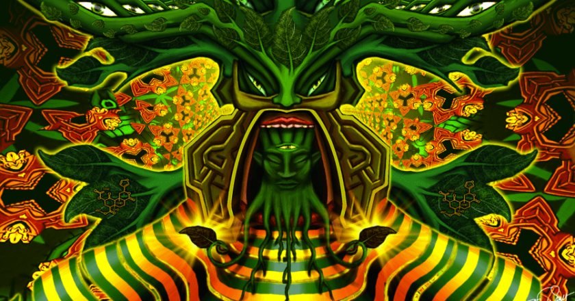 Interview with Daniel Siebert, a Salvia Divinorum Expert