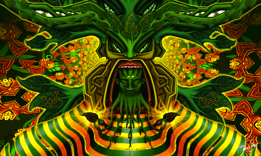 Interview with Daniel Siebert, a Salvia Divinorum Expert Interview with Daniel Siebert, a Salvia Divinorum Expert