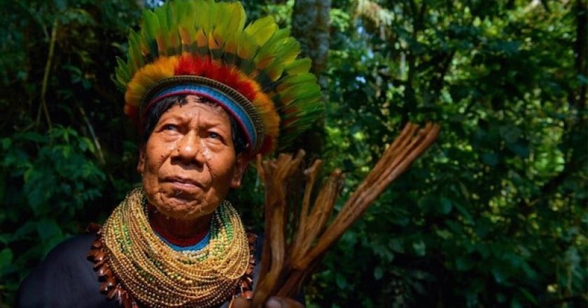 Ayahuasca in Bolivia