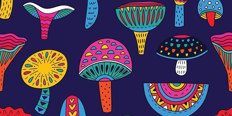 Psychedelics Psychedelics