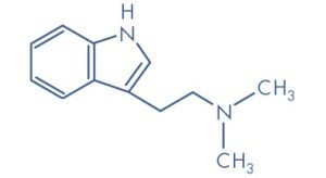 Spirit Molecule - DMT Molecule