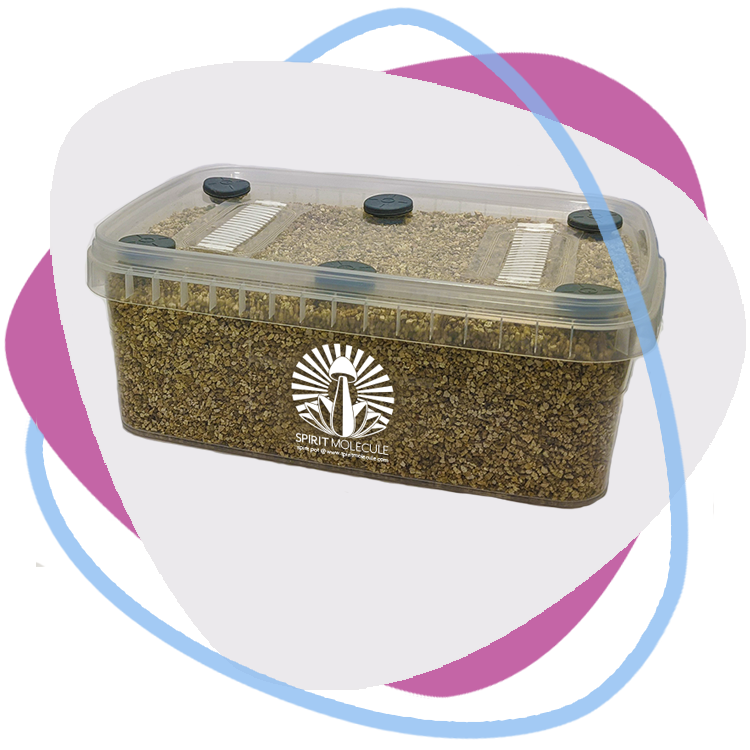 Spirit Molecule Grow Kit Guide