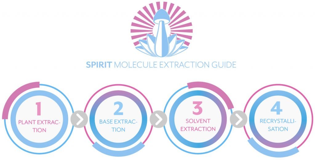 Spirit Molecule DMT Extraction Guide – 4 Steps to Extracting DMT Spirit Molecule DMT Extraction Guide - 4 Steps to Extracting DMT