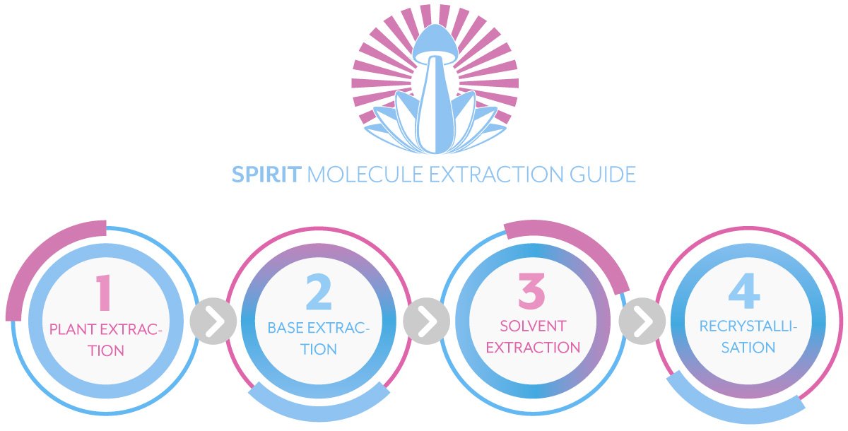 Spirit Molecule DMT Extraction Guide - 4 Steps to Extracting DMT