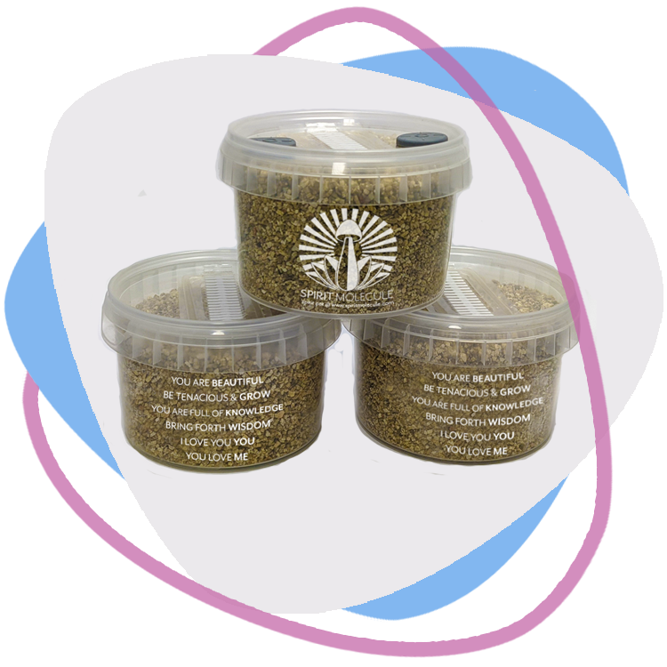 Spirit Molecule Grow Kit Guide